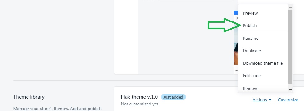 publish Plak theme